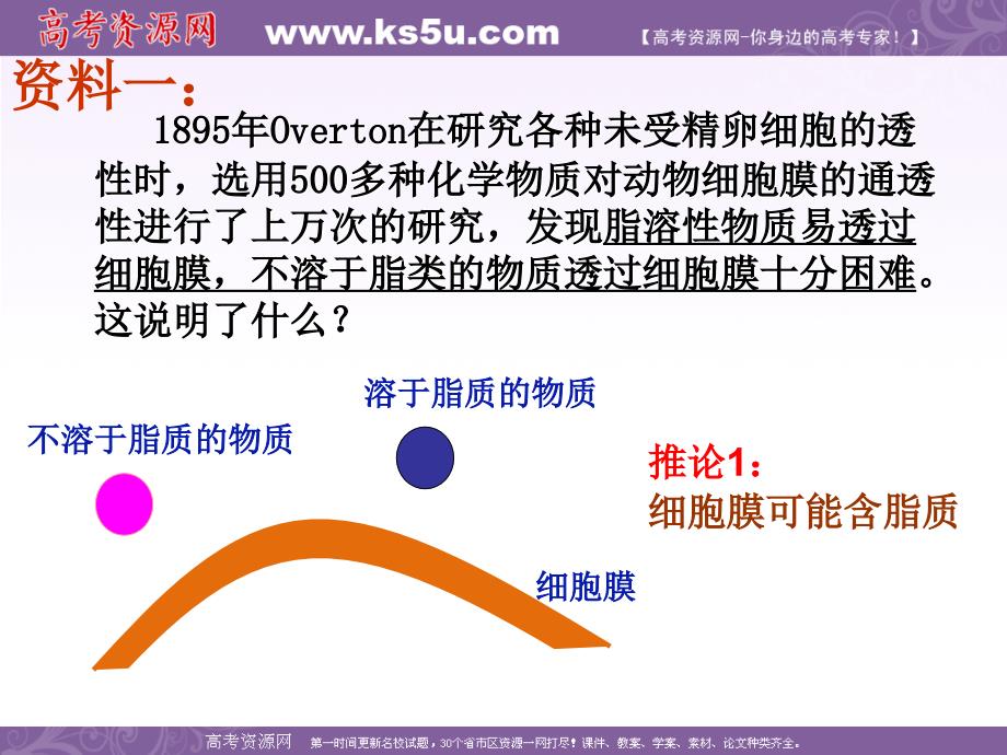 第四章第二节生物的流动镶嵌模型_第3页