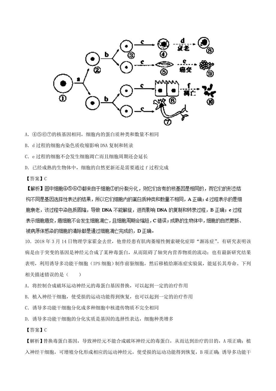 2019年高考生物一轮复习 专题13 细胞的分化、衰老、凋亡与癌变（测）.doc_第5页