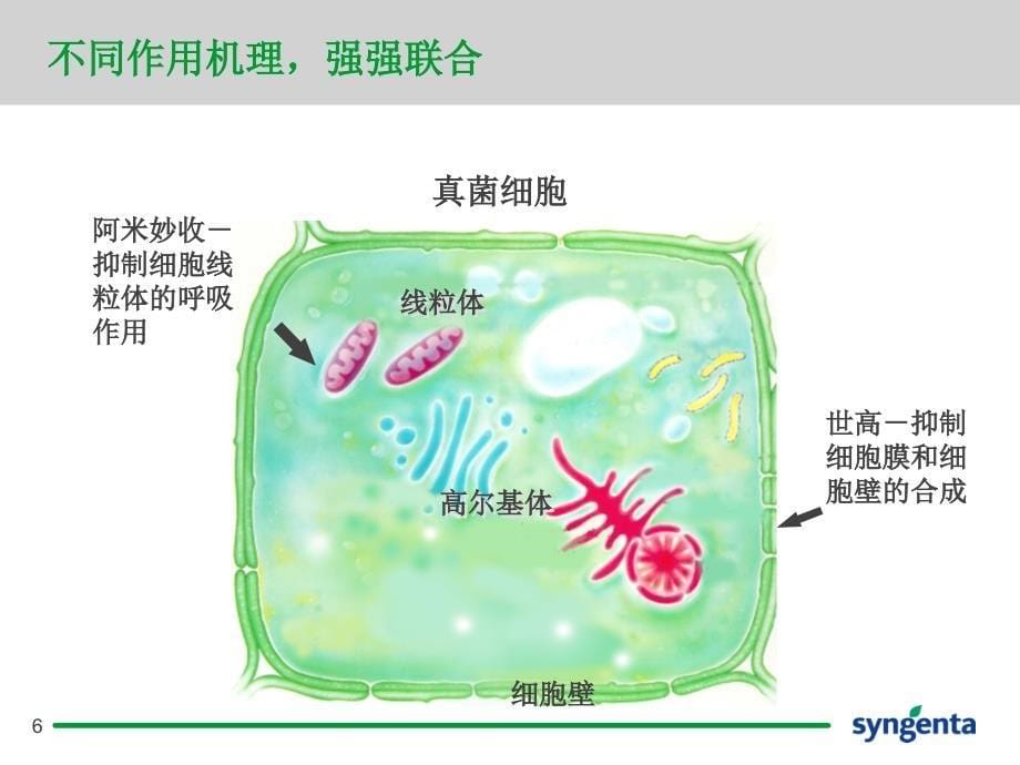 阿米妙收产品介绍PPT精品文档_第5页