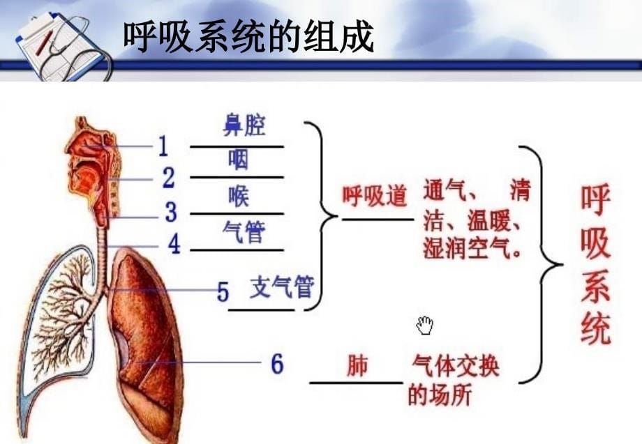 呼吸系统疾病病人的护理概述PPT优秀课件_第5页