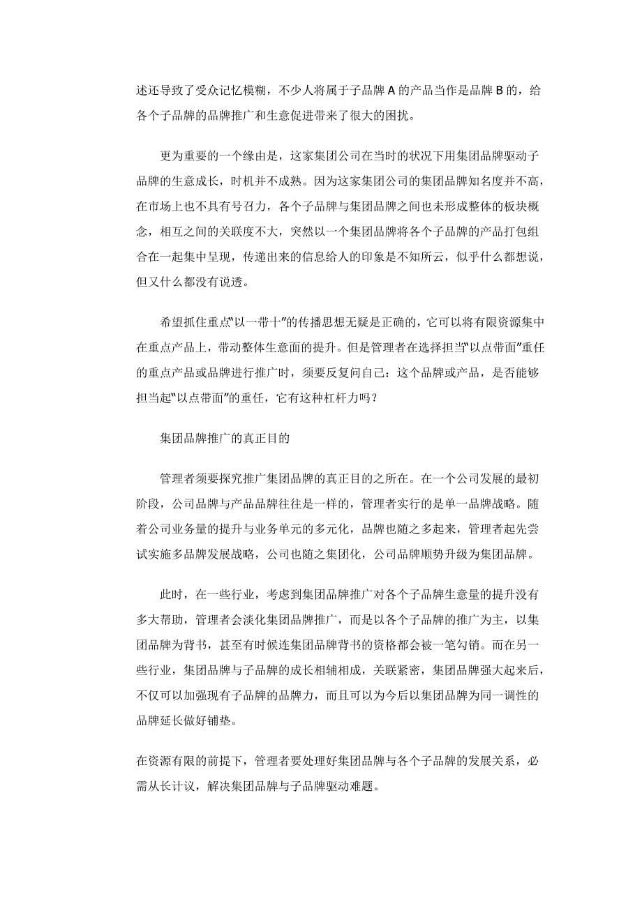 母子品牌策略及全新整合传播策略_第5页