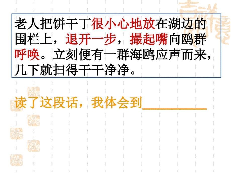 五年级下册语文课件第二单元9老人与海鸥语文S版_第5页