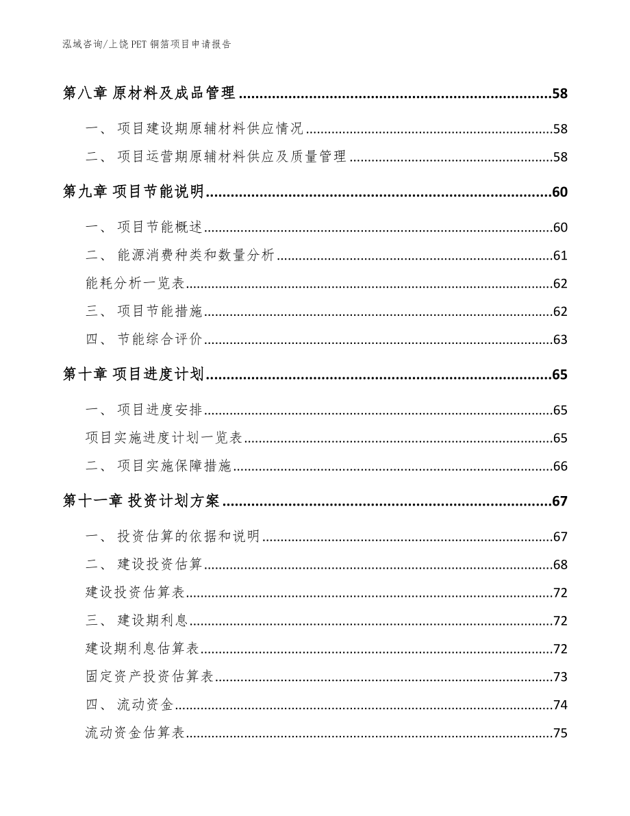 上饶PET铜箔项目申请报告_第4页