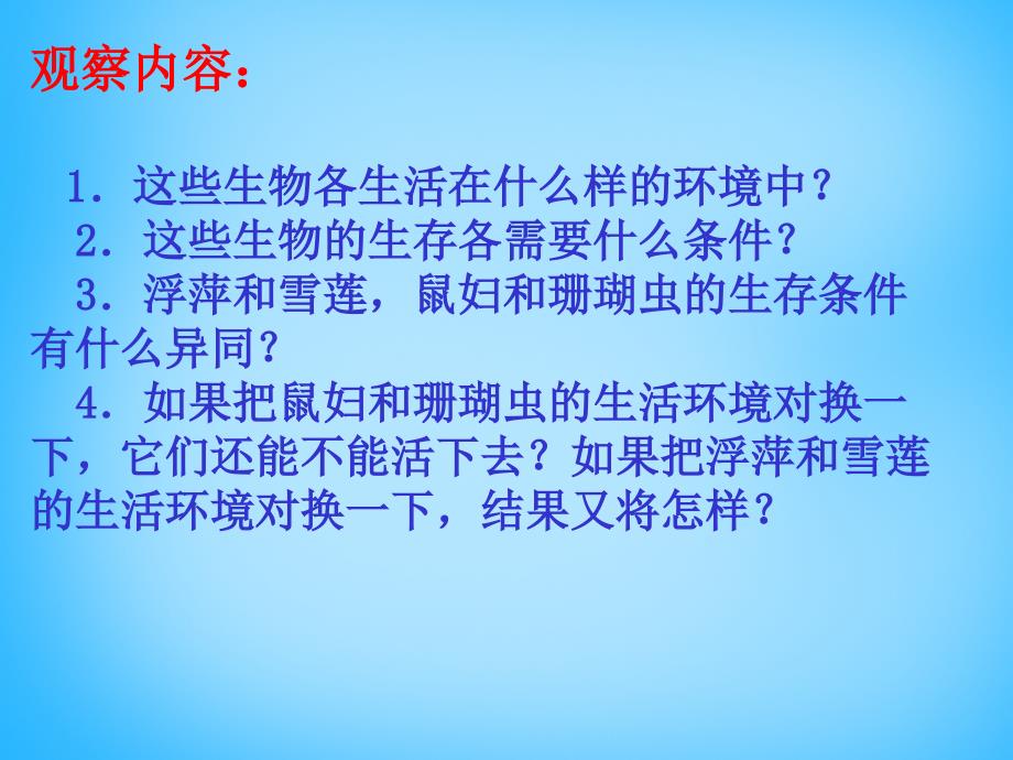 江苏省宜兴市伏东中学七年级生物上册2.2.1生物生存的环境课件新版苏科版_第4页