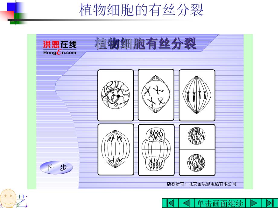 第二节细胞的增殖_第4页