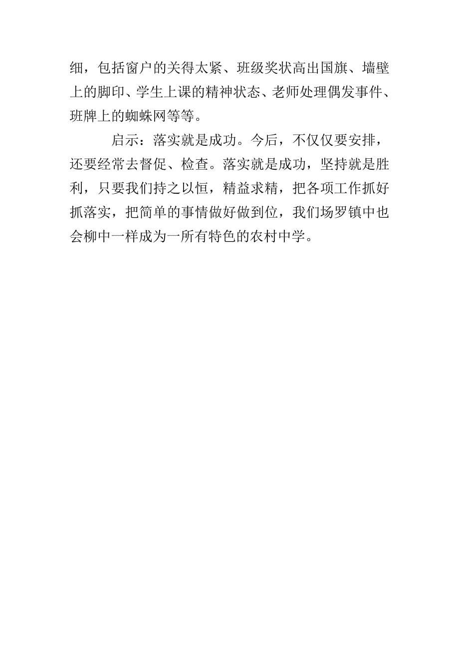 湖柳中学挂职学习报告_第5页