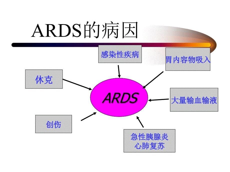 急性呼吸窘迫综合征课件ARDS_第5页