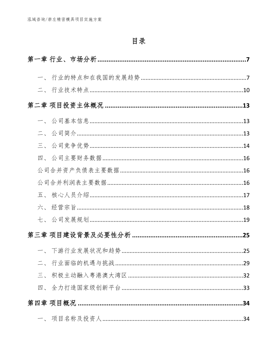 崇左精密模具项目实施方案_范文_第1页