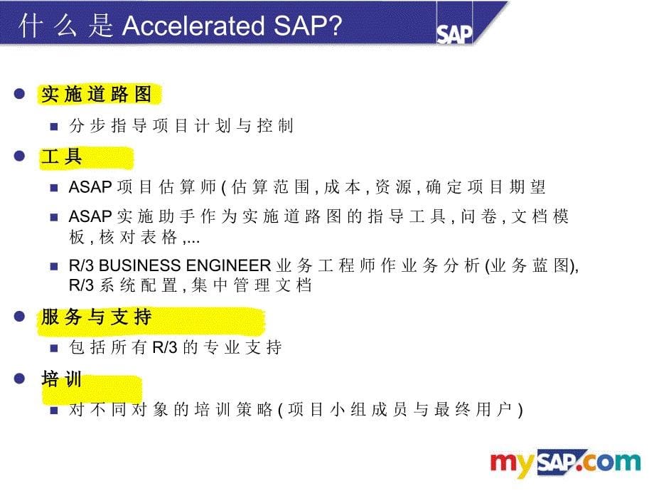 ASAPSAP实施方法论_第5页