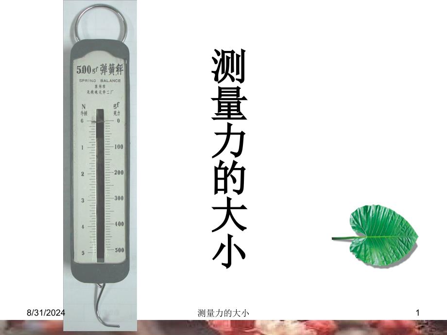 教科版科学五年级上测量力的大小课件_第1页