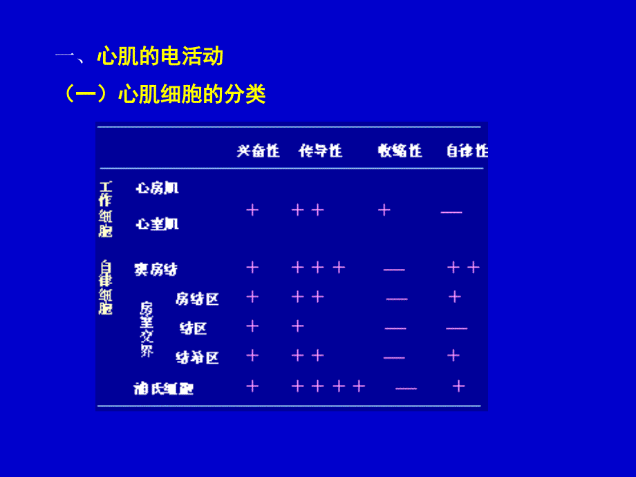 第九章-血液循环.课件_第3页