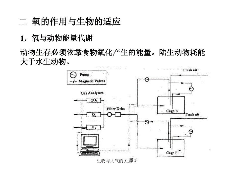 生物与大气的关系课件_第3页