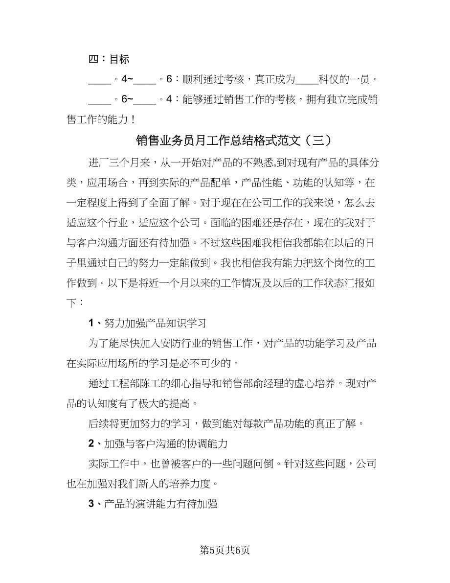 销售业务员月工作总结格式范文（三篇）.doc_第5页