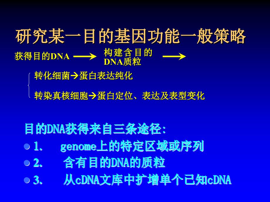 基因克隆及蛋白表达.ppt_第2页