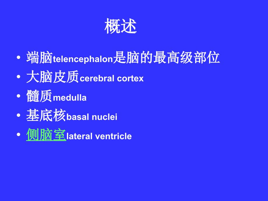 胼胝体下区终板旁回扣带回海马旁回海马结构海马齿状课件_第2页