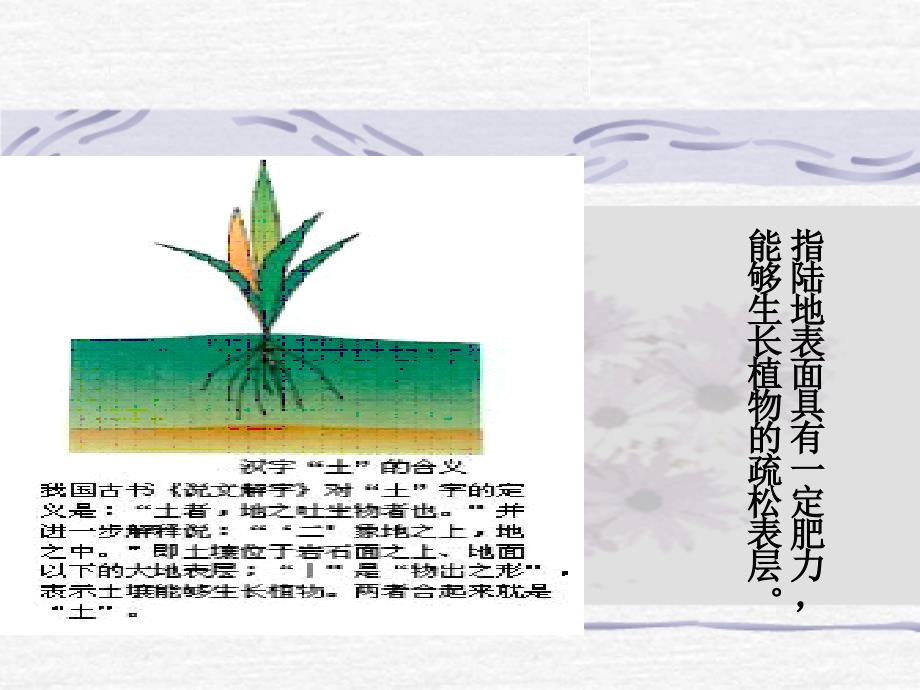 《土壤质量监测》PPT课件_第3页