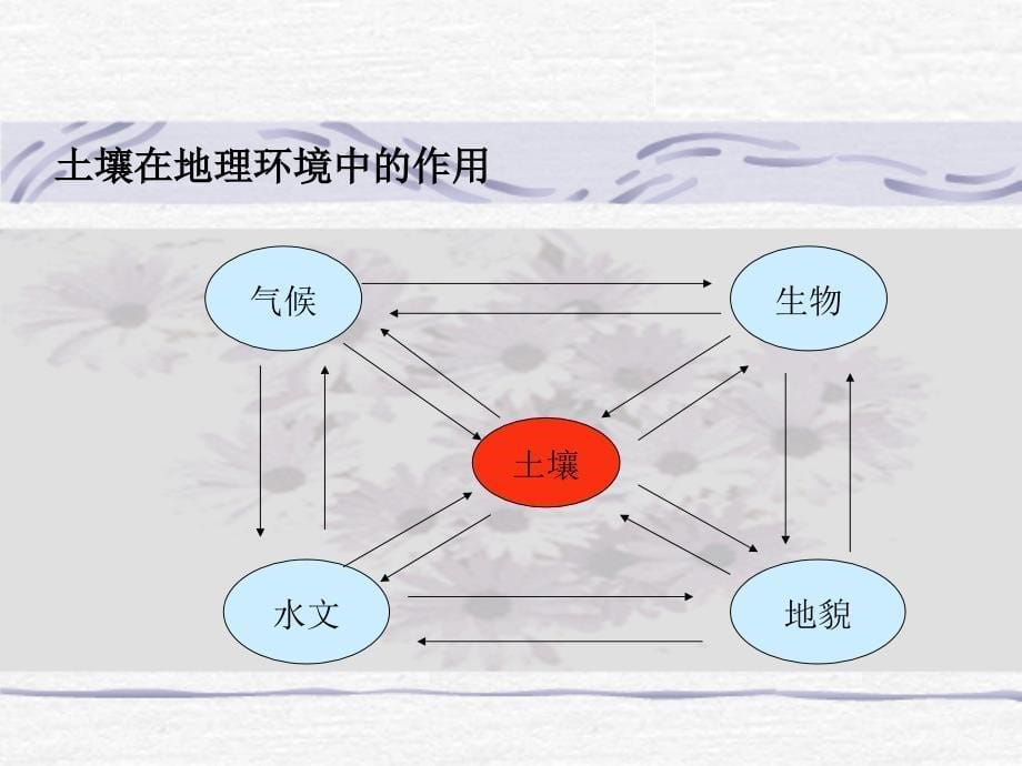 《土壤质量监测》PPT课件_第5页