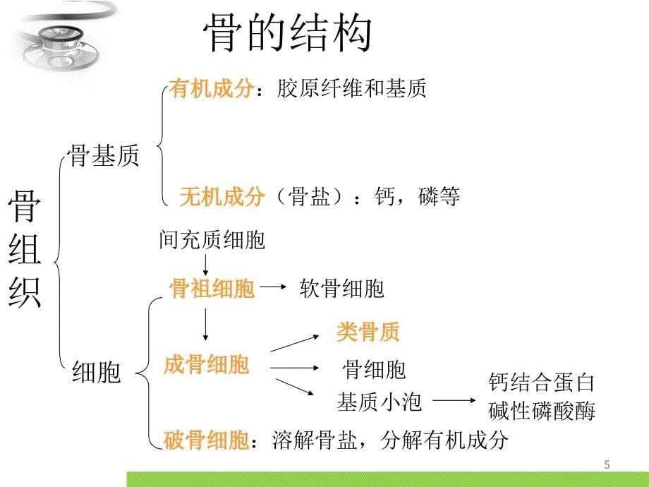 维生素D缺乏性佝偻病.ppt参考课件_第5页