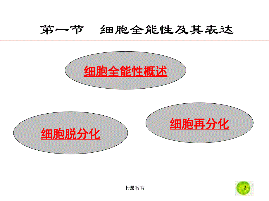 细胞全能性实用课资_第2页