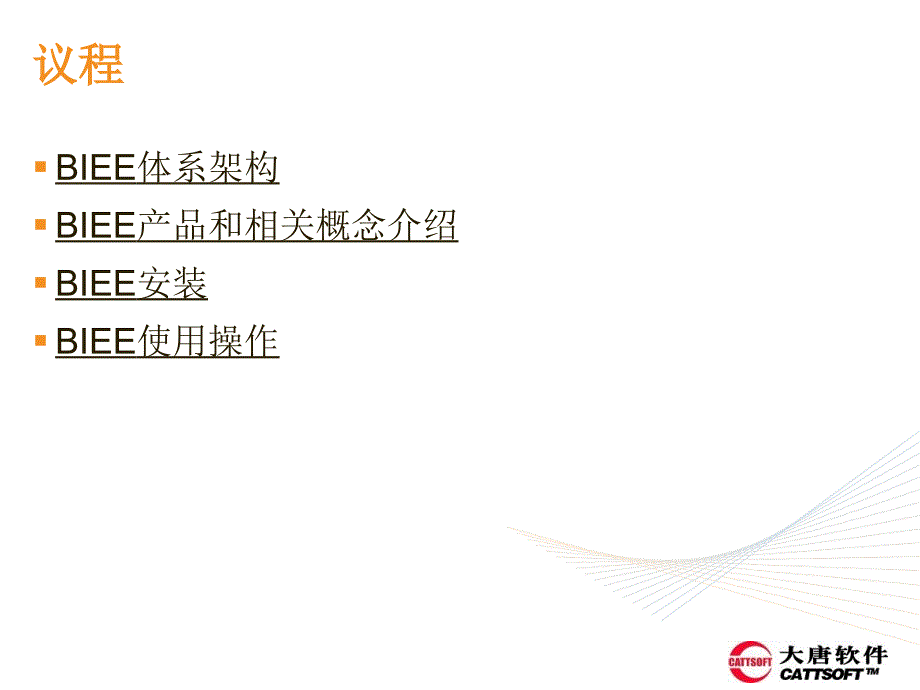 BIEE经典介绍_第2页