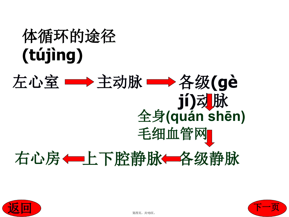 七年级生物物质运输的途径教学文案_第4页