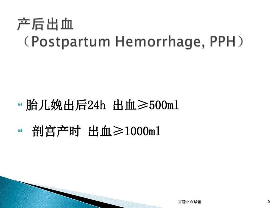 宫腔止血球囊_第5页
