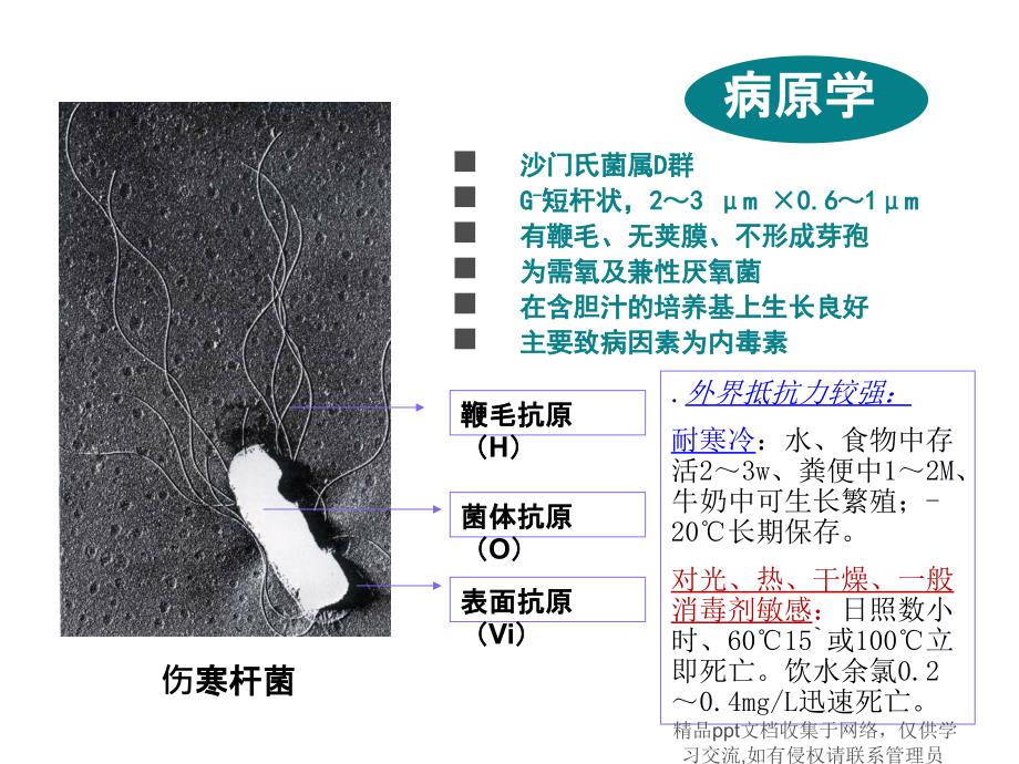 伤寒病人的护理_第4页