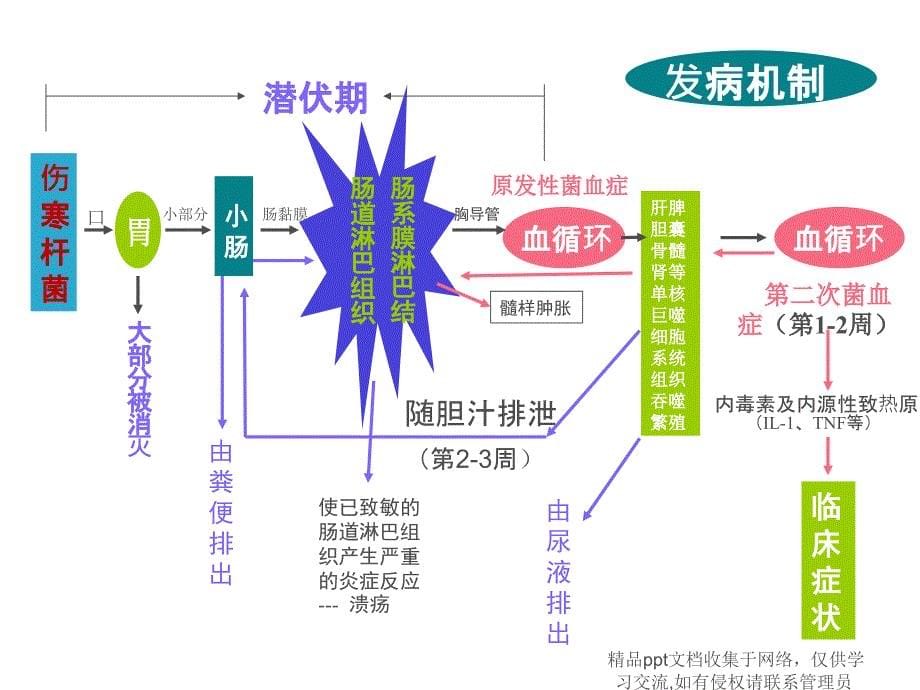 伤寒病人的护理_第5页