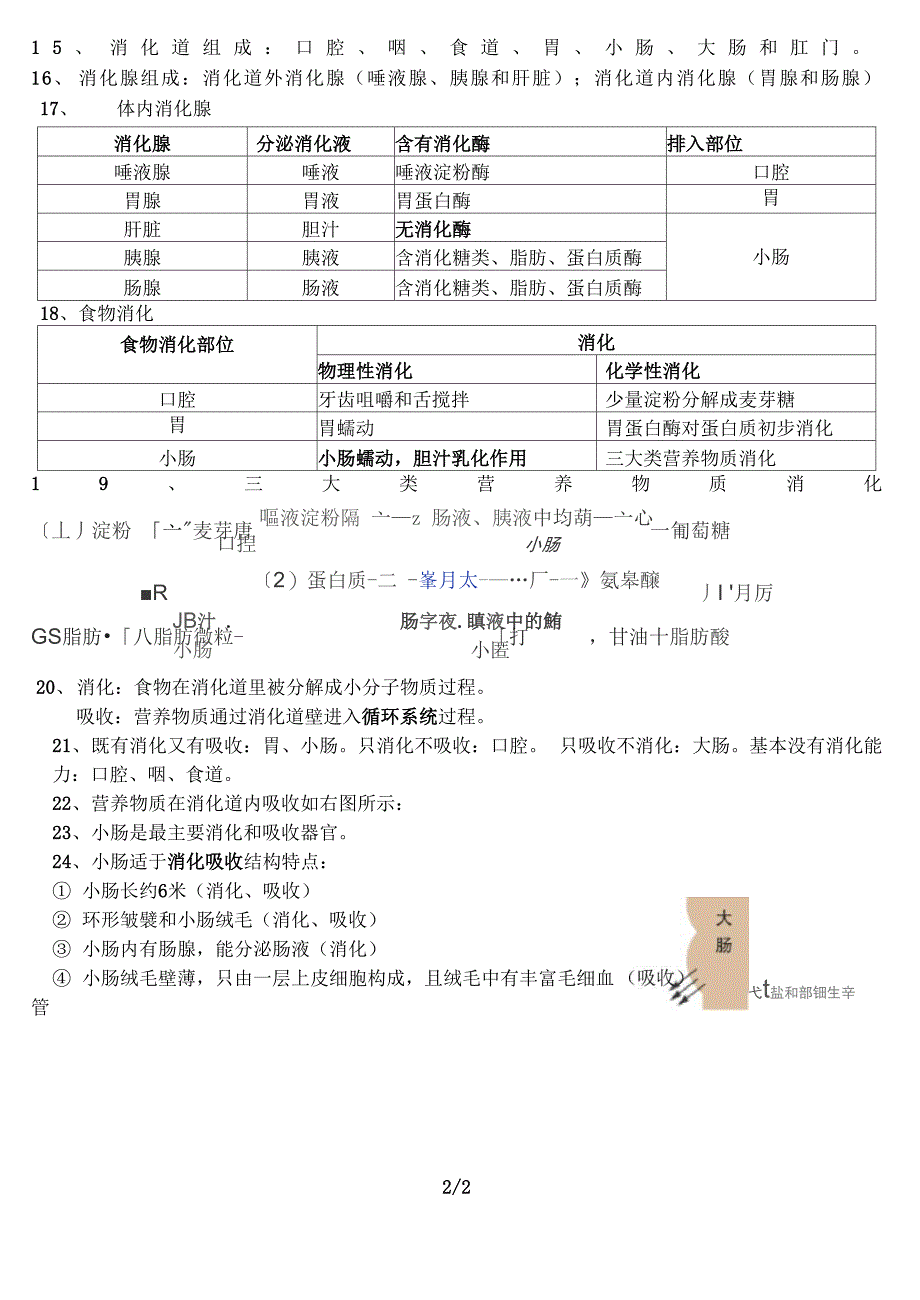 人的生活需要营养的知识总结_第2页