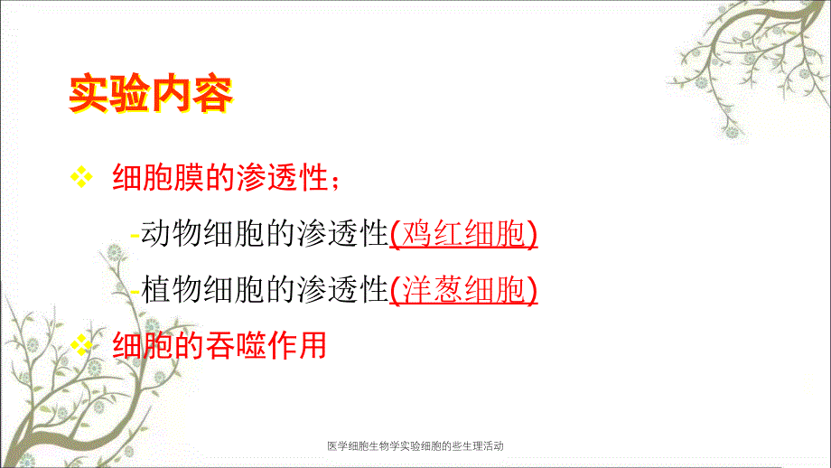 医学细胞生物学实验细胞的些生理活动_第4页