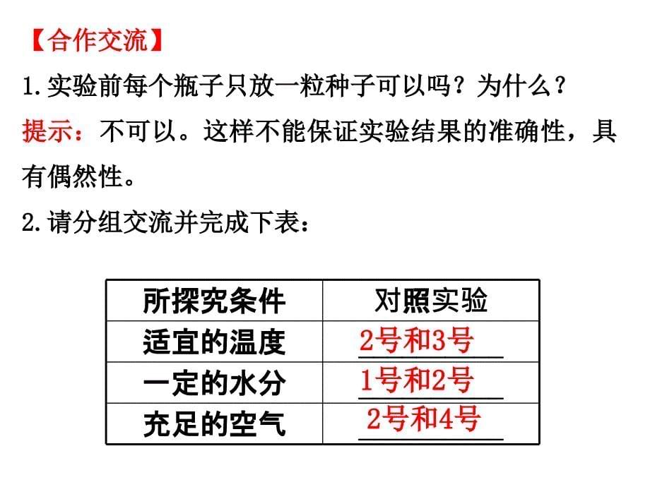 321种子的萌发2_第5页