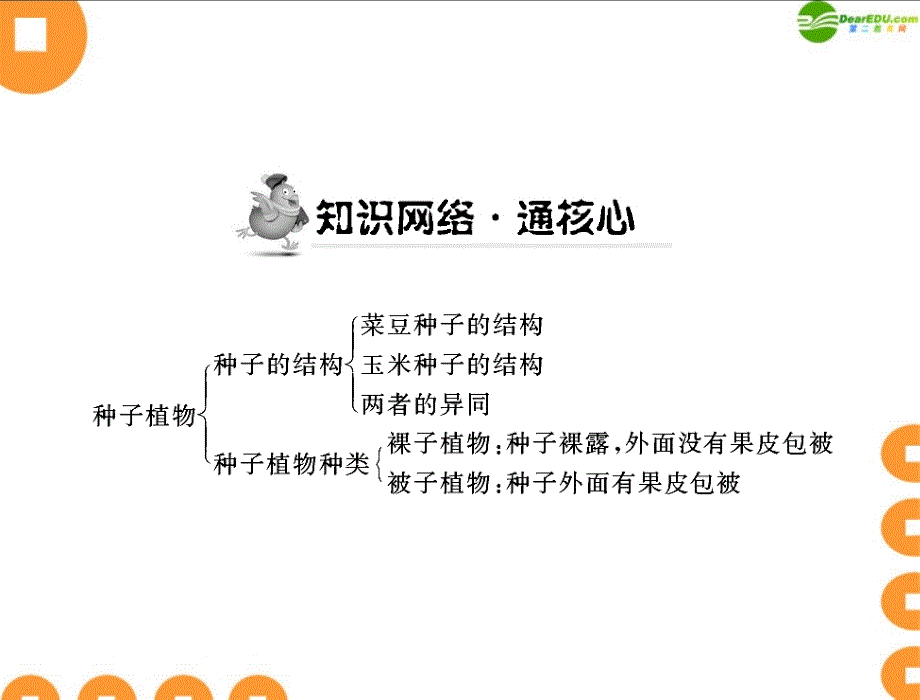 随堂优化训练七年级生物上册第三单元第一章第二节种子植物配套课件人教新课标版_第2页