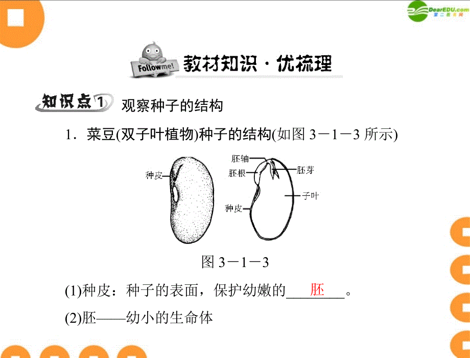 随堂优化训练七年级生物上册第三单元第一章第二节种子植物配套课件人教新课标版_第3页