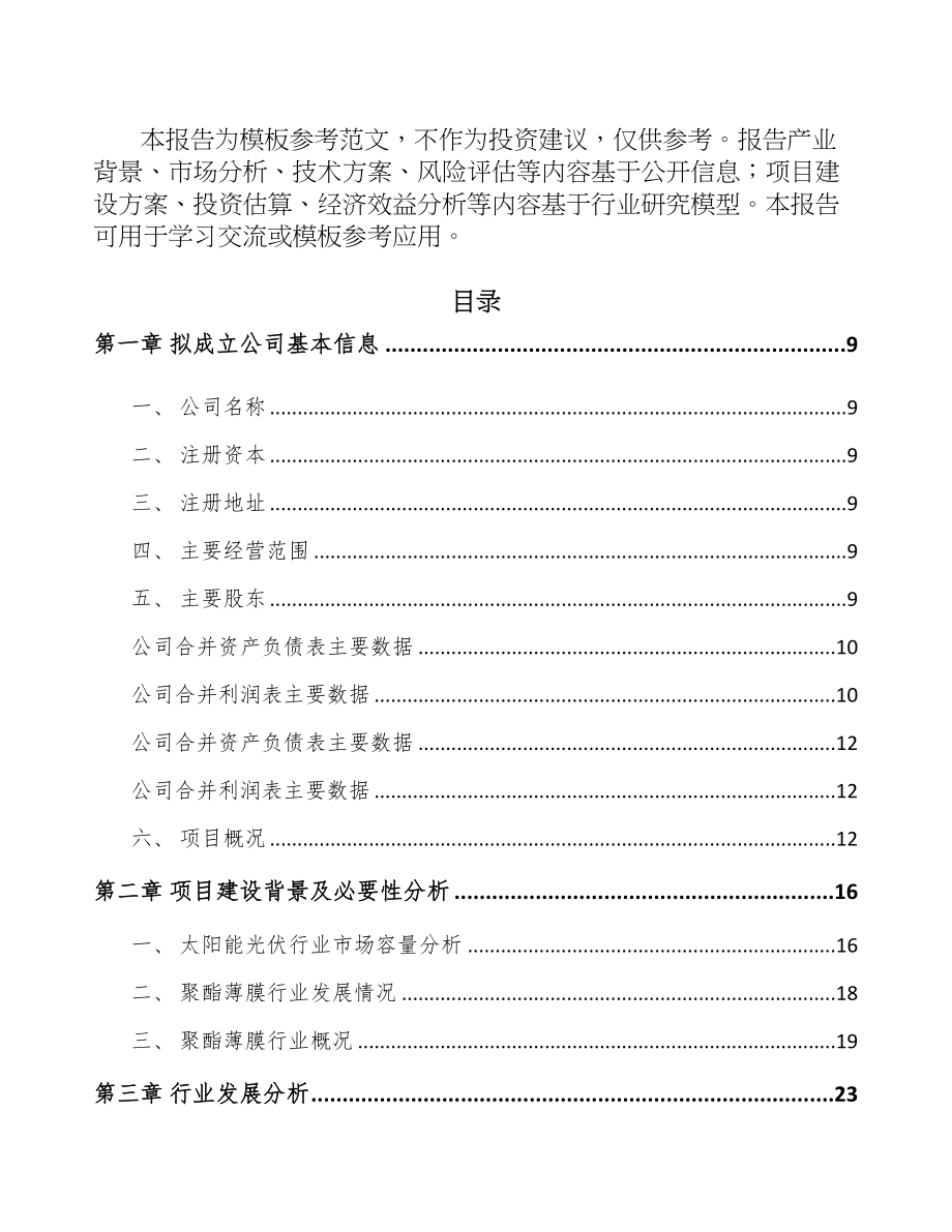 长春关于成立功能膜公司可行性研究报告(DOC 95页)_第3页