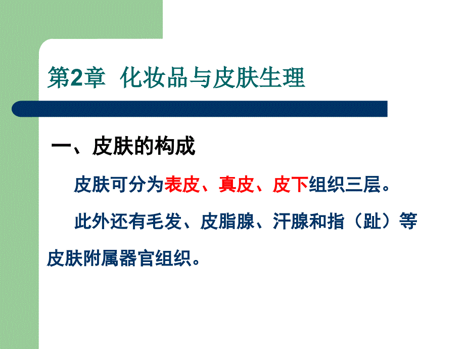 《化妆品与皮肤生理》PPT课件.ppt_第2页