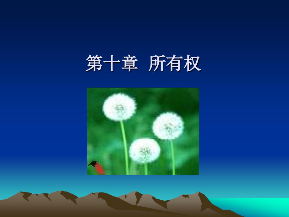 【经管类】民法学(上)_第2页