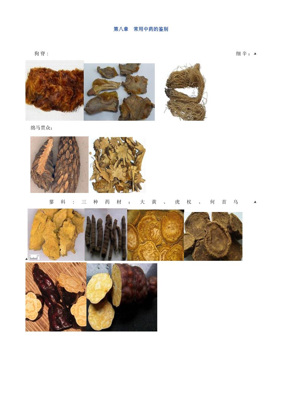 执业中药师-药一常用中药图谱_第1页