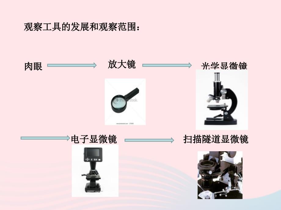 最新六年级科学下册第一单元8和我们课件7_第2页