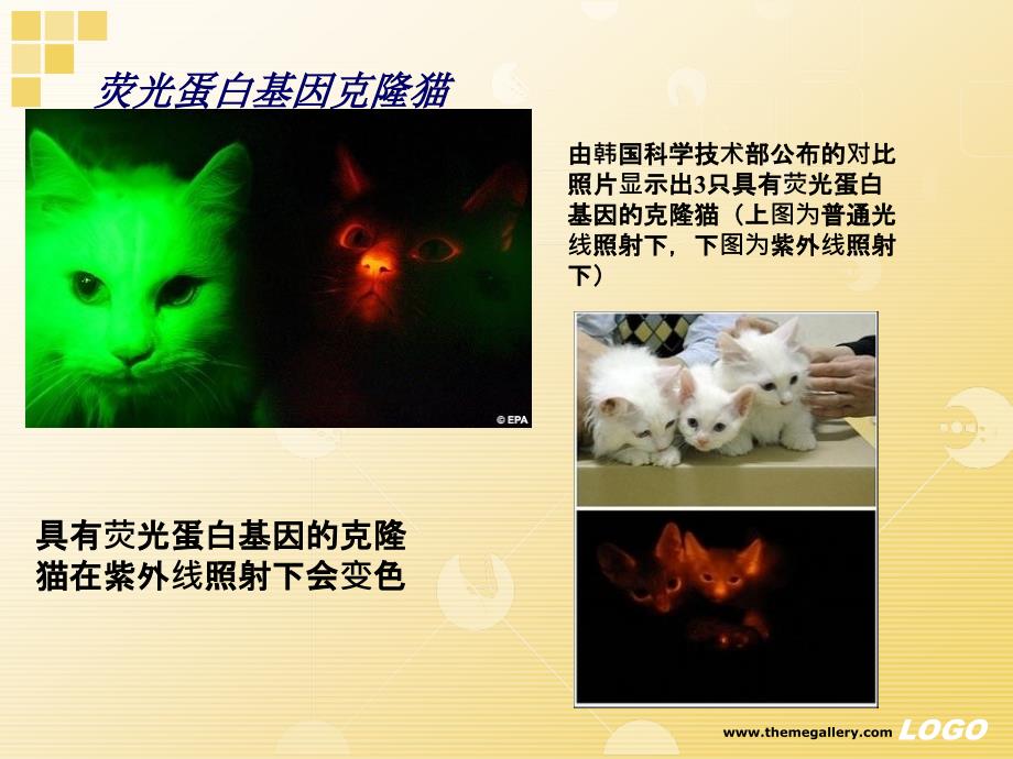 分子生物学：基因克隆、克隆基因的表达_第3页