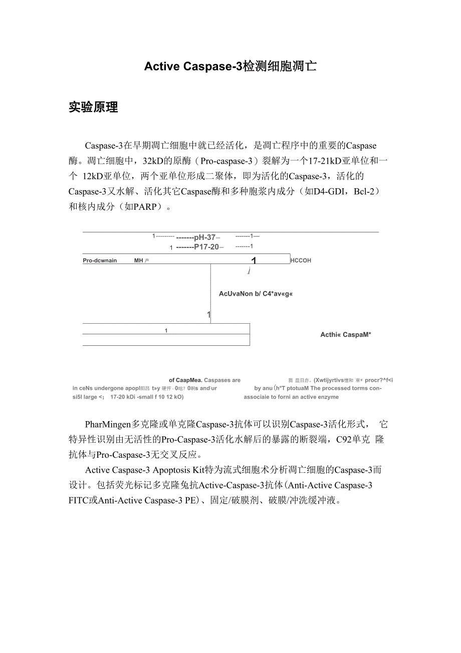 流式细胞仪检测细胞凋亡操作流程_第1页