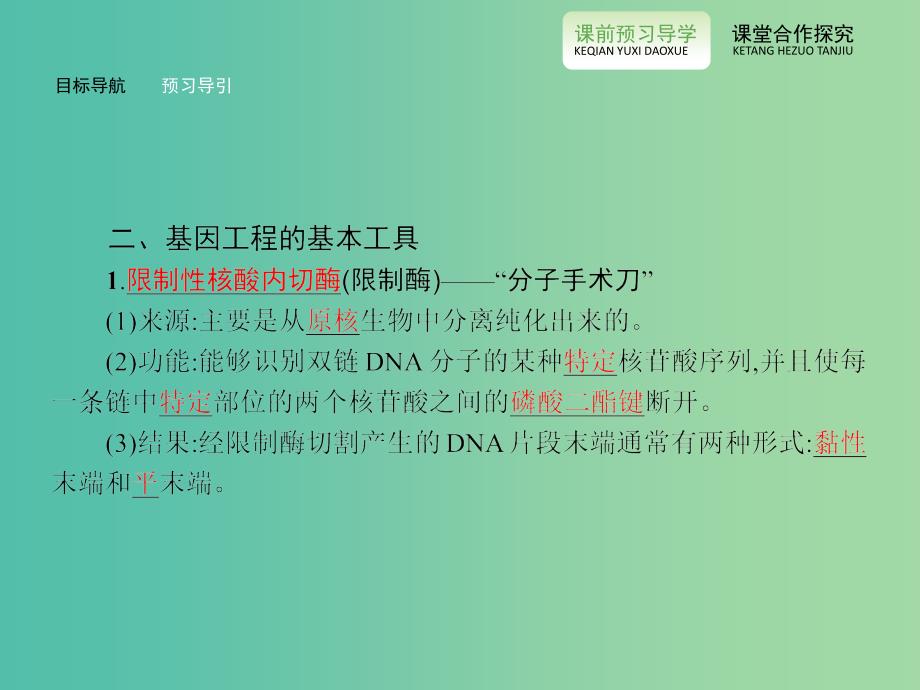 高中生物 1.1DNA重组技术的基本工具课件 新人教版选修3.ppt_第5页