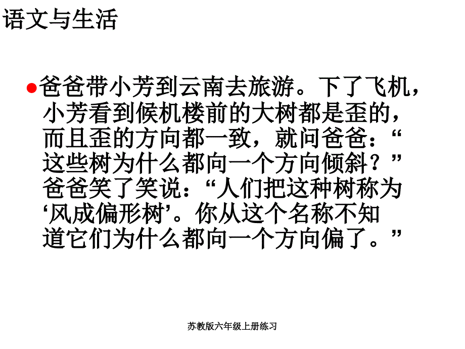 苏教版六年级上册练习课件_第2页