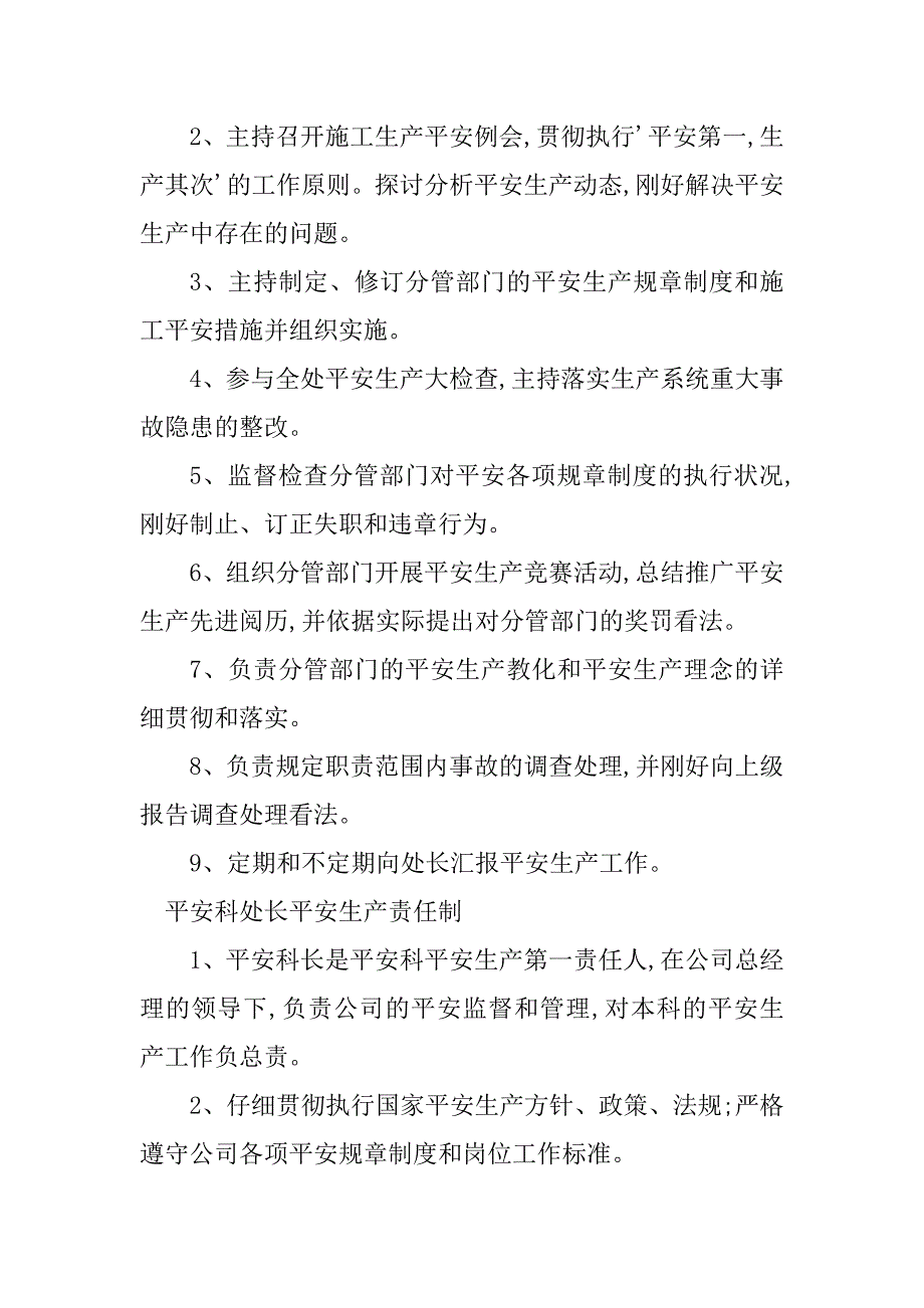 2023年处长安全生产责任制篇_第3页