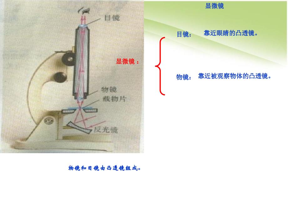 八年级物理5中学课件5显微镜和望远镜_第4页