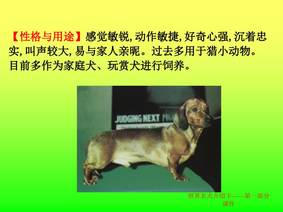 世界名犬介绍下第一部分课件_第4页