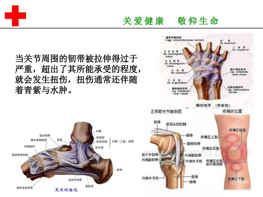 家庭急救ppt课件_第4页