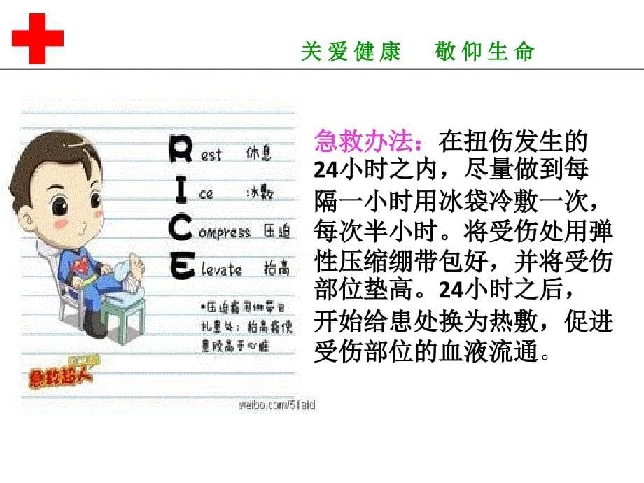 家庭急救ppt课件_第5页