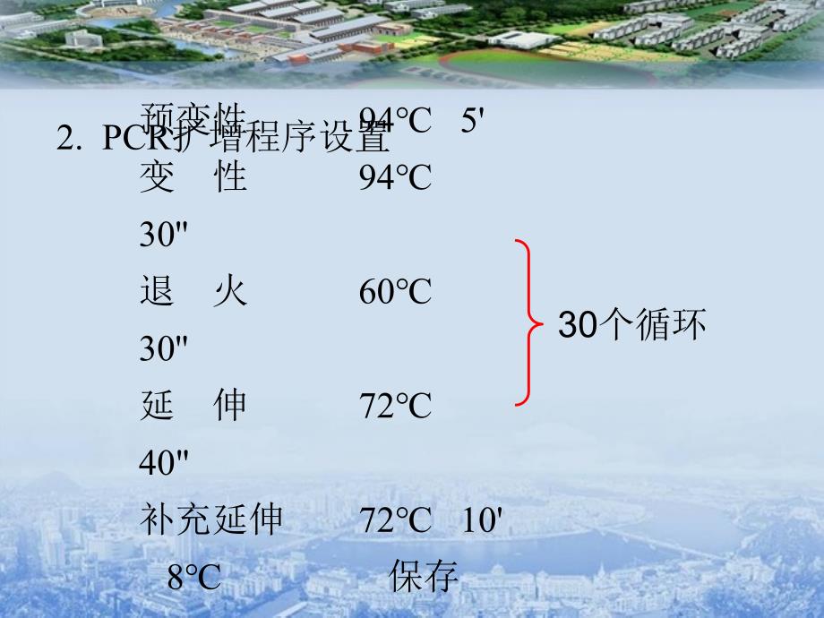 《CR及质粒提取》PPT课件_第4页