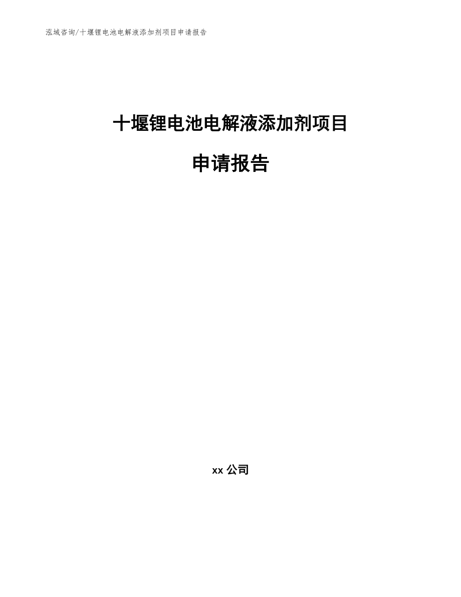 十堰锂电池电解液添加剂项目申请报告_第1页