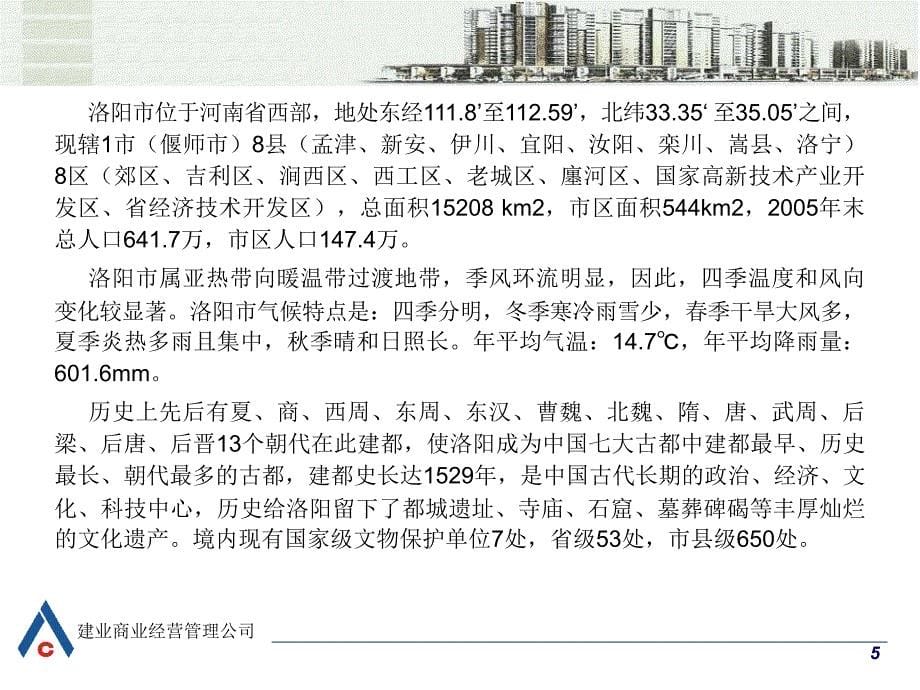 河南省洛阳森林半岛左岸风情街调研报告39页_第5页